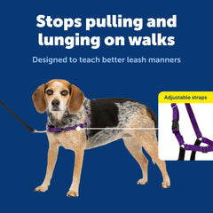 Petsafe Easy Walk front martingale loop redirects excited dogs