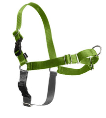 PetSafe Easy Walk harness apple-green-color adds visibility and style on walks.