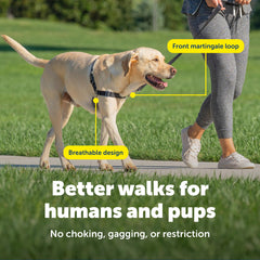 PetSafe Easy Walk breathable fabric keeps dogs cool on longer strolls