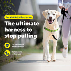 PetSafe Easy Walk harness chest-design improves control during lively strolls.