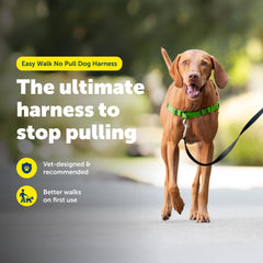 PetSafe Easy Walk chest loop demonstrates front-pressure redirect on pulls