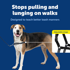 PetSafe Easy Walk chest-rest design reduces neck pressure for comfort