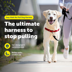 PetSafe Easy Walk chest-resting design reduces neck pressure for safer leash walks.