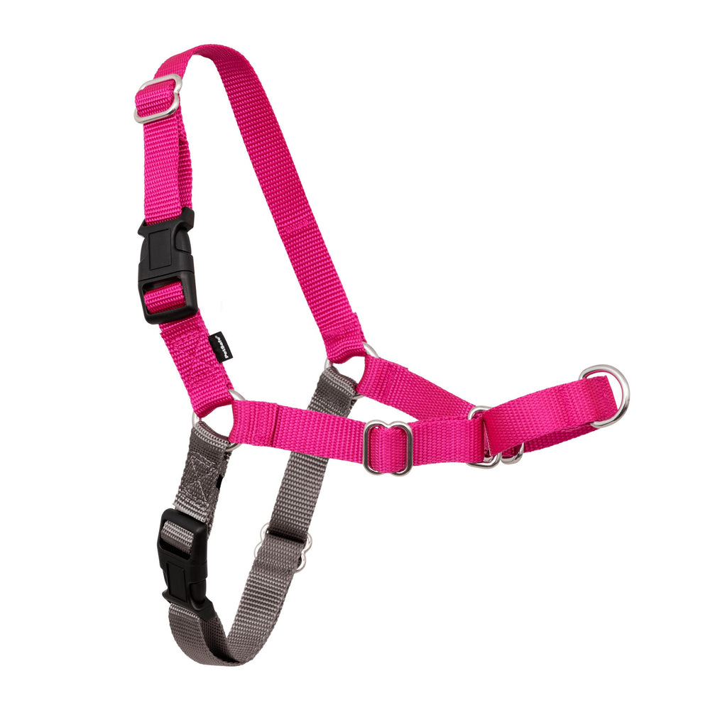 PetSafe Easy Walk harness front clip guides your dog during walks