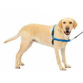 PetSafe Easy Walk harness front clip guides dogs for pull-free walking