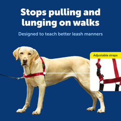 PetSafe Easy Walk harness is lightweight and breathable for longer, cooler excursions.