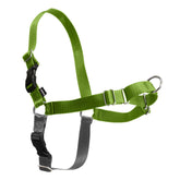 Petsafe Easy Walk harness in apple green shows comfortable chest design for pull-free walks.