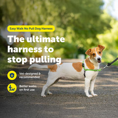 Petsafe Easy Walk front clip lets you guide your dog during walks.