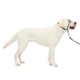 PetSafe Gentle Leader nose loop headcollar for comfortable no-pull training