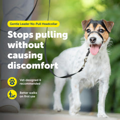 PetSafe Gentle Leader quick-snap neck strap for fast fitting.