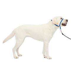 PetSafe Gentle Leader nose-loop headcollar reduces pulling during walks.