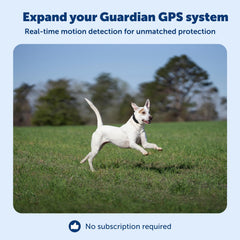 PetSafe Guardian Add‑A‑Dog Collar highlighting long battery life.