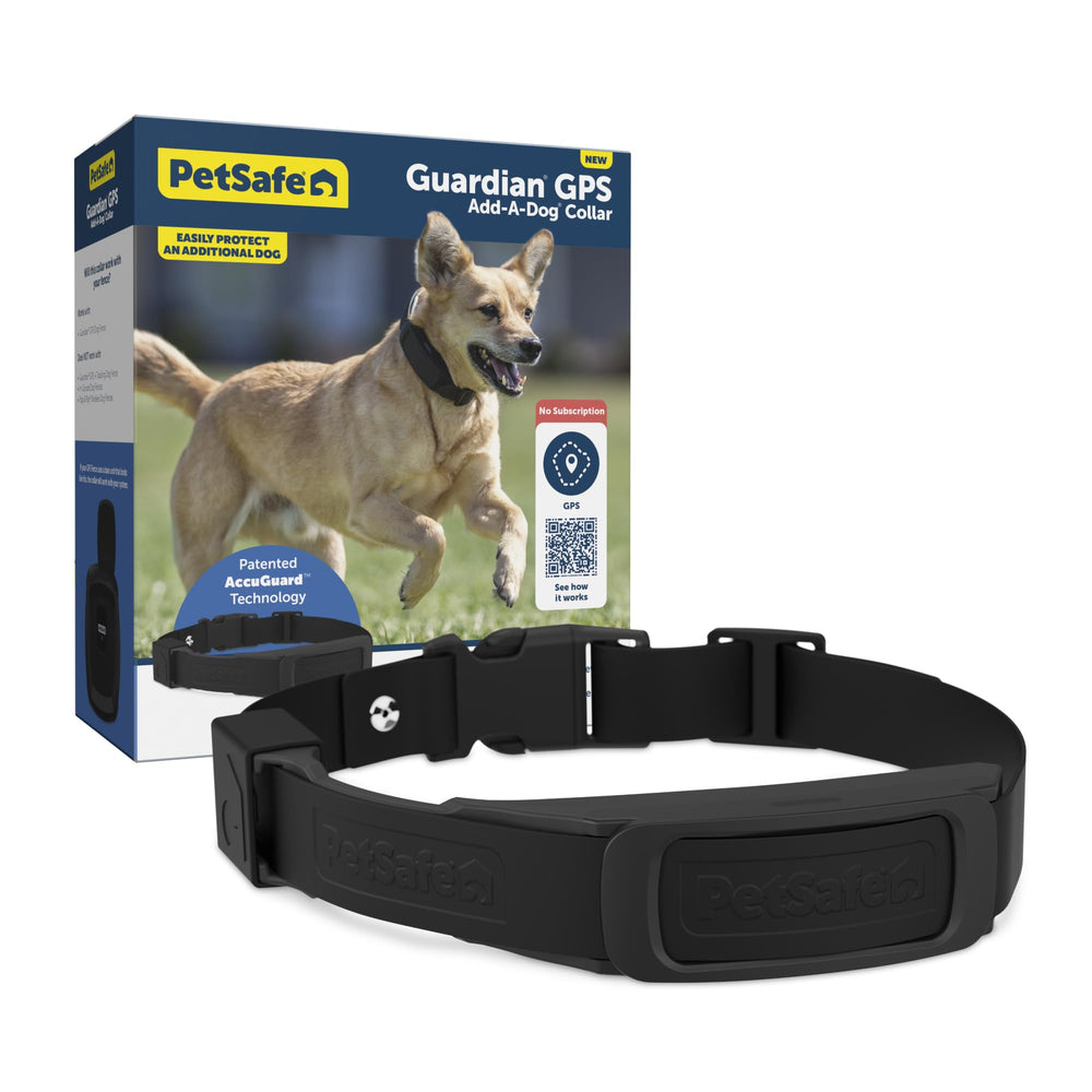 PetSafe Guardian Add‑A‑Dog Collar front view, compact daily wear design.