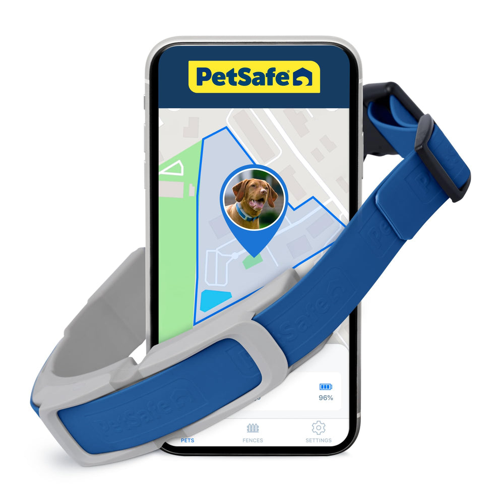 PetSafe Guardian GPS collar on a dog with real-time tracking during outdoor adventures