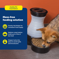 PetSafe removable stainless steel bowl, easy cleaning and dishwasher safe.