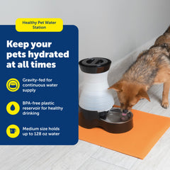 Locking-cap reservoir of PetSafe water station demonstrates durability