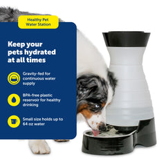 PetSafe Healthy Pet Water Station reservoir top view illustrating easy refilling.