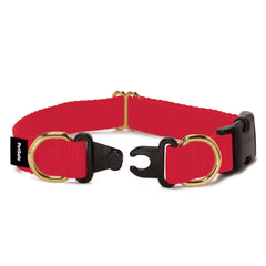 The Petsafe KeepSafe Break-Away Collar with release buckle reduces snag risk during play.