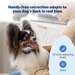PetSafe NanoBark 2.0 collar with accurate detection reduces false triggers.