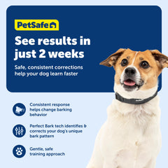 PetSafe NanoBark waterproof-design image shows weatherproof capability for rain or shine.