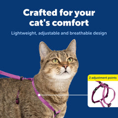 PetSafe harness in outdoor scene for safe exploration