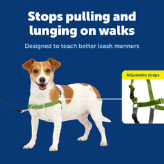 PetSafe patented martingale loop design shown on the chest area.