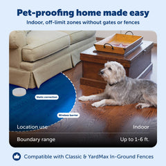 PetSafe Pawz Away collar on cat during boundary testing