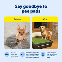 PetSafe Pee-Pod removable base simplifies waste disposal after use.