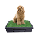 PetSafe Pet Loo assembly shows simple setup for busy households.