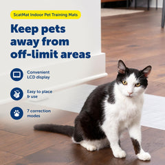 PetSafe ScatMat on sofa keeps paws off the furniture.