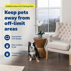PetSafe ScatMat at sofa edge protects furniture from paws.