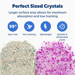 PetSafe ScoopFree crystal litter in action shows rapid moisture uptake.