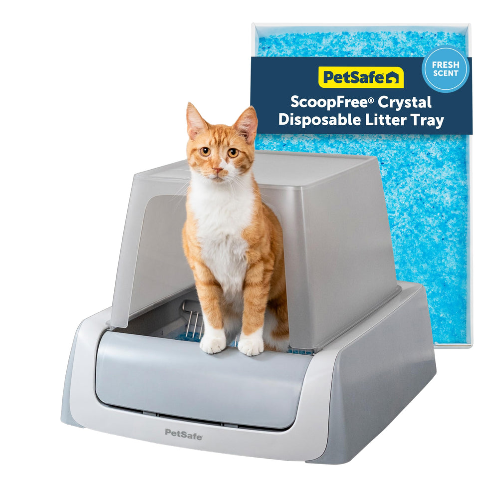 PetSafe ScoopFree Crystal Pro Legacy front-entry design for hands-off litter management.