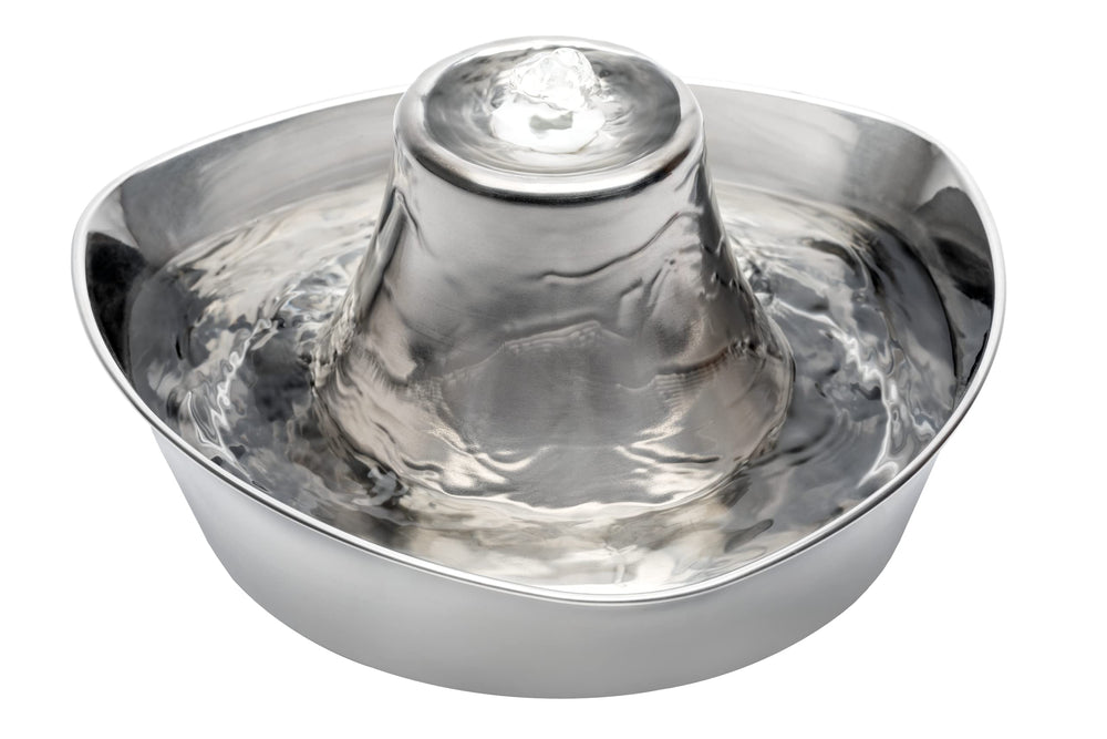 PetSafe Seaside fountain front view, sleek stainless steel and dual drinking angles for pets.