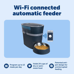 PetSafe Smart Feed app control screen for remote meal scheduling
