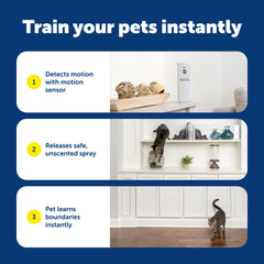 Easy, quick swap keeps SSSCAT ready for action indoors.
