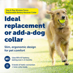 PetSafe Stay & Play replaceable battery collar with long-lasting battery life.