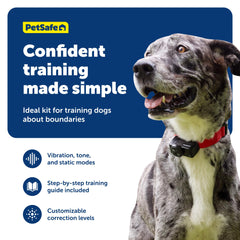PetSafe Wireless Fence collar worn during play, showing adjustable fit for 8 lb+ dogs