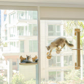 Pet Savvy 4-in-1 on-window shelf setup provides a stable perch for sunny views