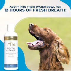 Petscy Dental Cleanse added to water helps maintain fresh breath in pets.