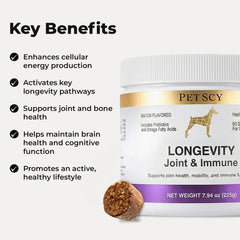 Petscy Immunity Support Chews—probiotic and beta-glucan blend for overall wellness.