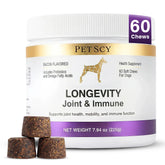 Petscy Longevity Hip Joint Chews—daily mobility support for small and medium dogs.