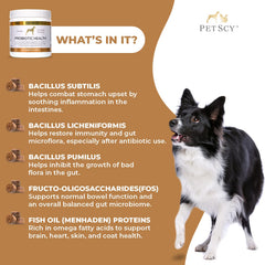 Petscy Probiotic Chews shiny coat from fish oil support.