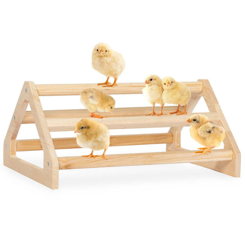 Petsfit Chick Perch prevents rotation for stable roosting and safer play.