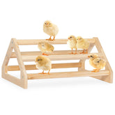 Petsfit Chick Perch prevents rotation for stable roosting and safer play.