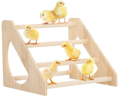 PETSFIT Chick Perch rotation-prevent design ensures stable chick perching