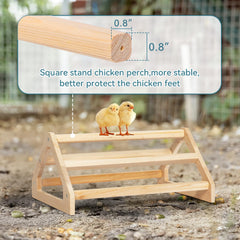 Petsfit Chick Perch features sturdy wooden perches for durable, natural roosting.