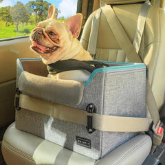 Petsfit dog car seat front view shows secure fit for small dogs