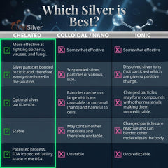PetSilver chelated-silver antibacterial spray supports gentle healing