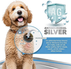 Treating a dog paw area with PetSilver for minor irritation